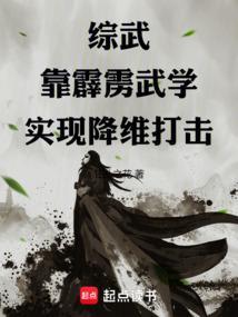 写霹雳武学的