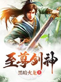 绝世剑神叶辰