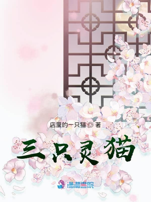 三只猫叫什么名字