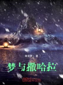 撒哈拉的黑鹫