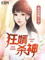 狂婿全文阅读