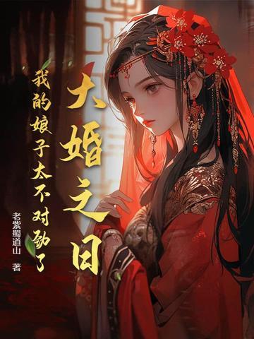 我大婚那天在线阅读