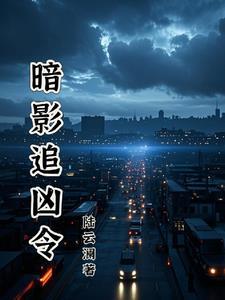 网剧暗影