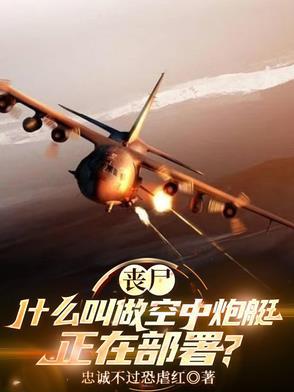 空中炮艇电影免费观看