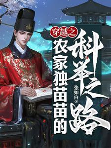 穿越之农家独苗苗的科举之路类似