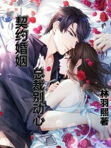 契婚之总裁别乱来