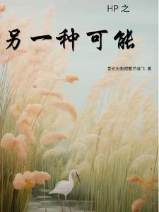 另一种可能by