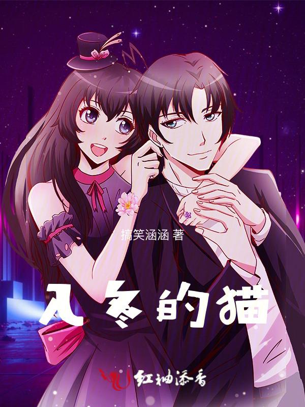 入冬的猫