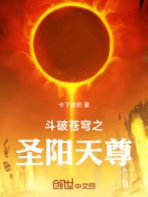 斗破苍穹之圣阳天尊