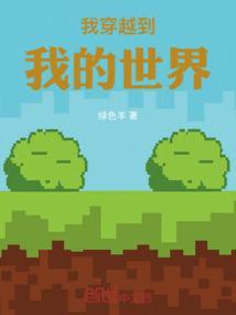 我穿越到我的世界