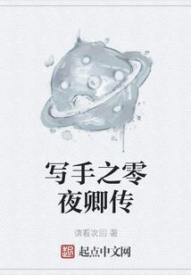 写手之零夜卿传