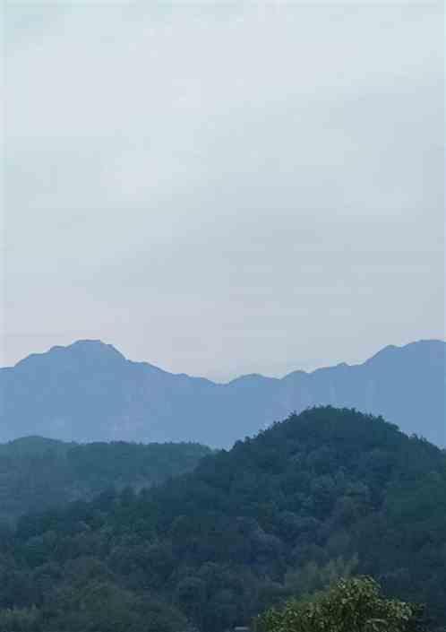 萁豆