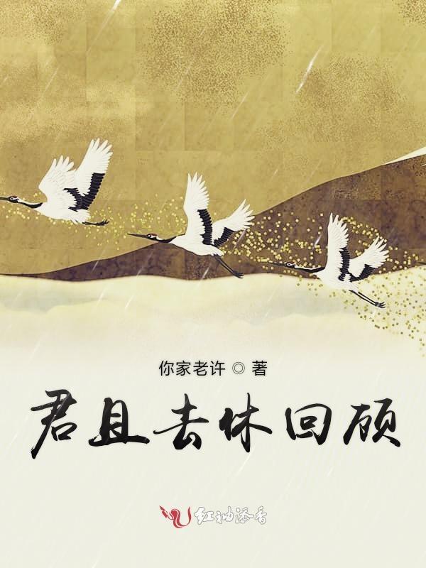 君且去休回顾