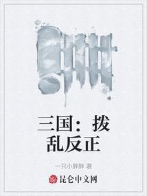 三国：拨乱反正