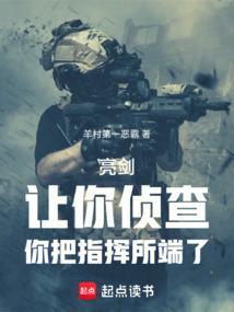 亮剑：让你侦查，你把指挥所端了