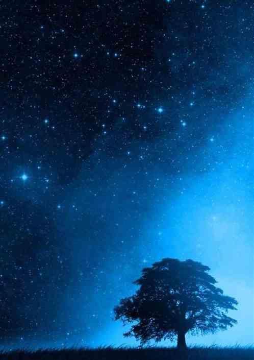群星游记