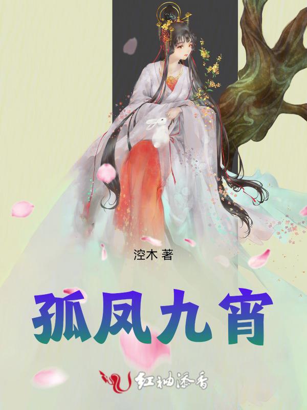 孤凤九宵