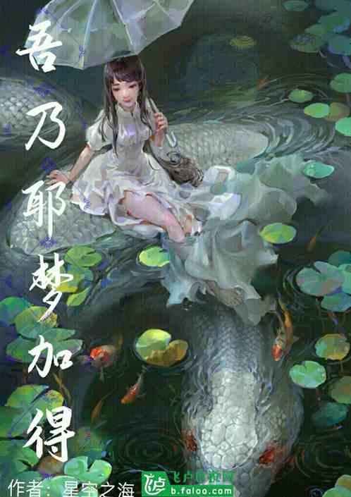 吾乃耶梦加得